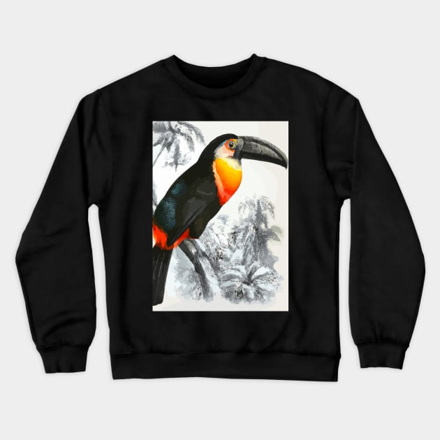 Tucan in Black White Jungle Crewneck Sweatshirt by maxcode